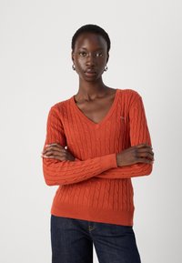 Rust-colored sweater with a V-neck, featuring a textured cable knit design and ribbed cuffs and hem. Worn over dark jeans.