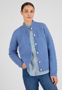 Cardigan a maglia di colore blu chiaro con motivi a treccia testurizzati, polsini a coste e cinque grandi bottoni. Indossato sopra una camicia a righe blu e jeans di denim.
