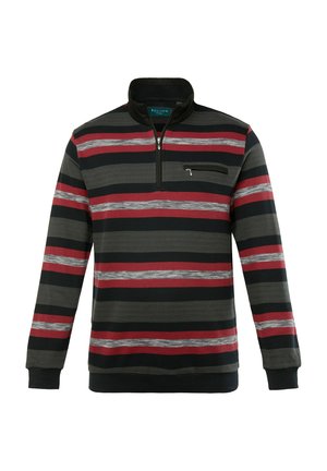 Pitkähihainen neule, jossa on vetoketju kauluksessa. Siinä on vaakasuorassa punaisia, harmaita ja mustia raitoja. Valmistettu pehmeästä kankaasta ja siinä on rintatasku.