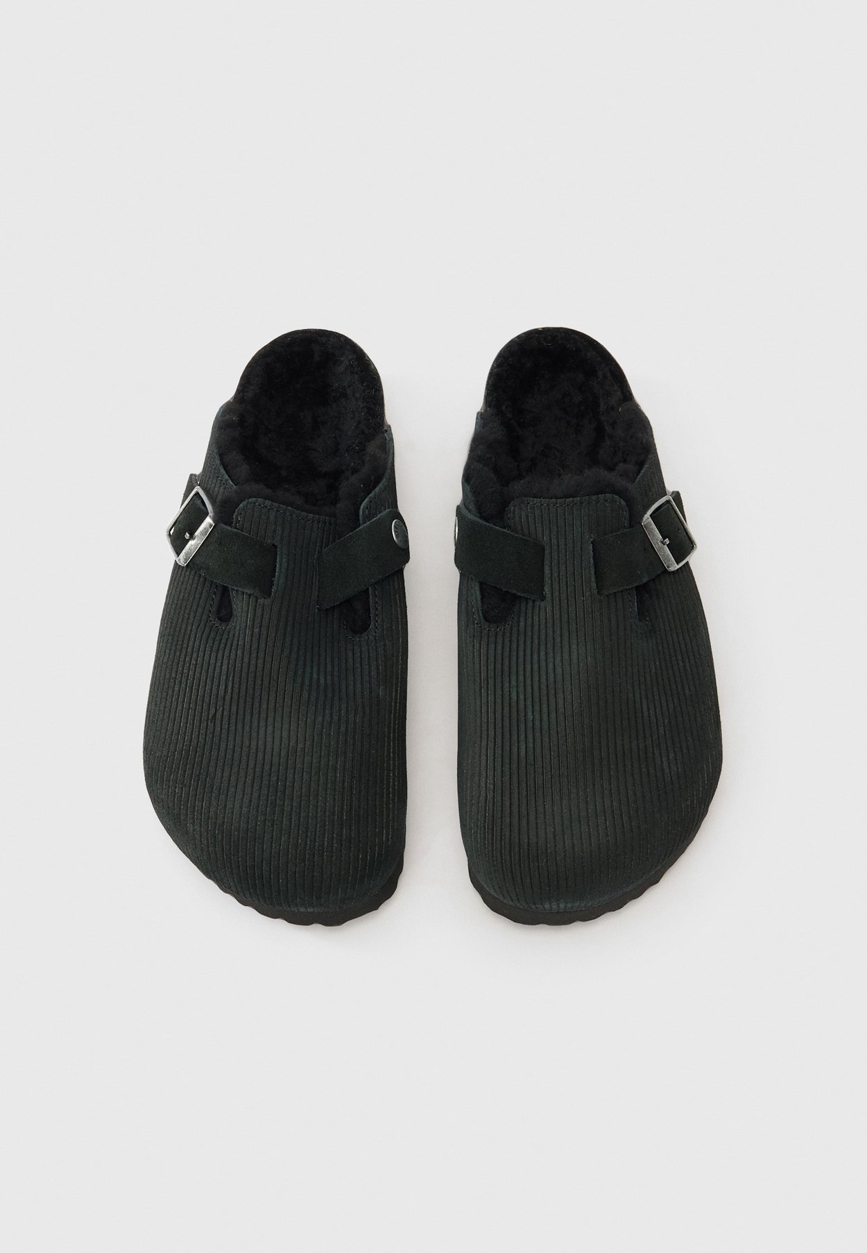 BOSTON TEDDY UNISEX
