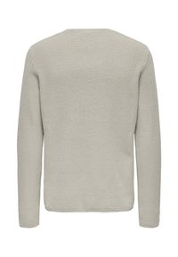 Hellgrauer Strickpullover mit langen Ärmeln, runder Ausschnitt und strukturiertem Webmuster. Keine sichtbaren Marken oder Akzente festgestellt.
