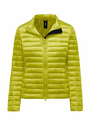 Hellgrüne, gesteppte Jacke mit Stehkragen, Frontreißverschluss und waagerechten Steppnähten, auf weißem Hintergrund dargestellt.