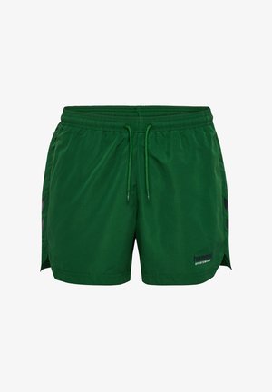 Grüne Badeshorts aus leichtem Material. Mit elastischem Bund und Kordelzug sowie seitlichen Taschen. Logo auf der unteren rechten Seite.