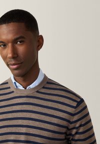 Maglione marrone e blu navy a righe con scollo rotondo, realizzato in materiale morbido, sovrapposto a una camicia colletto azzurra. Vista ravvicinata.