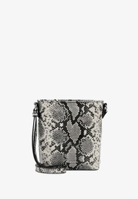 Unausgewählt, white-snake