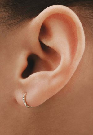 Aristocrazy, UNISEX - Pendientes - gold-colored