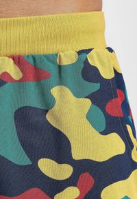 Dangerous DNGRS HIDE ME - Treniņtērpa apakšdaļas - camo