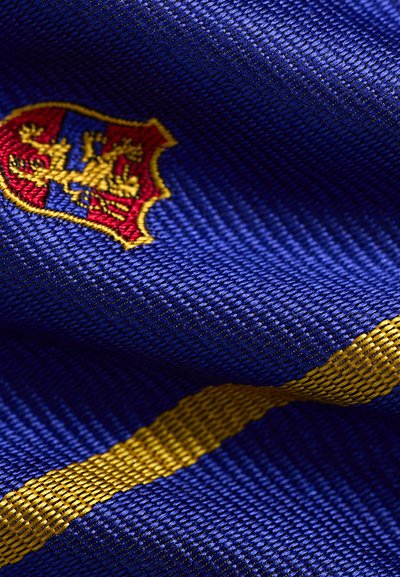 Μπλε ύφασμα με κίτρινη οριζόντια ρίγα και λεπτομερή κεντητό έμβλημα που απεικονίζει έναν χρυσό λιοντάρι και κόκκινο και μπλε ασπίδα.