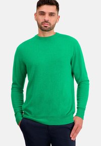 Mahogany NESTOR - Strickpullover - new green