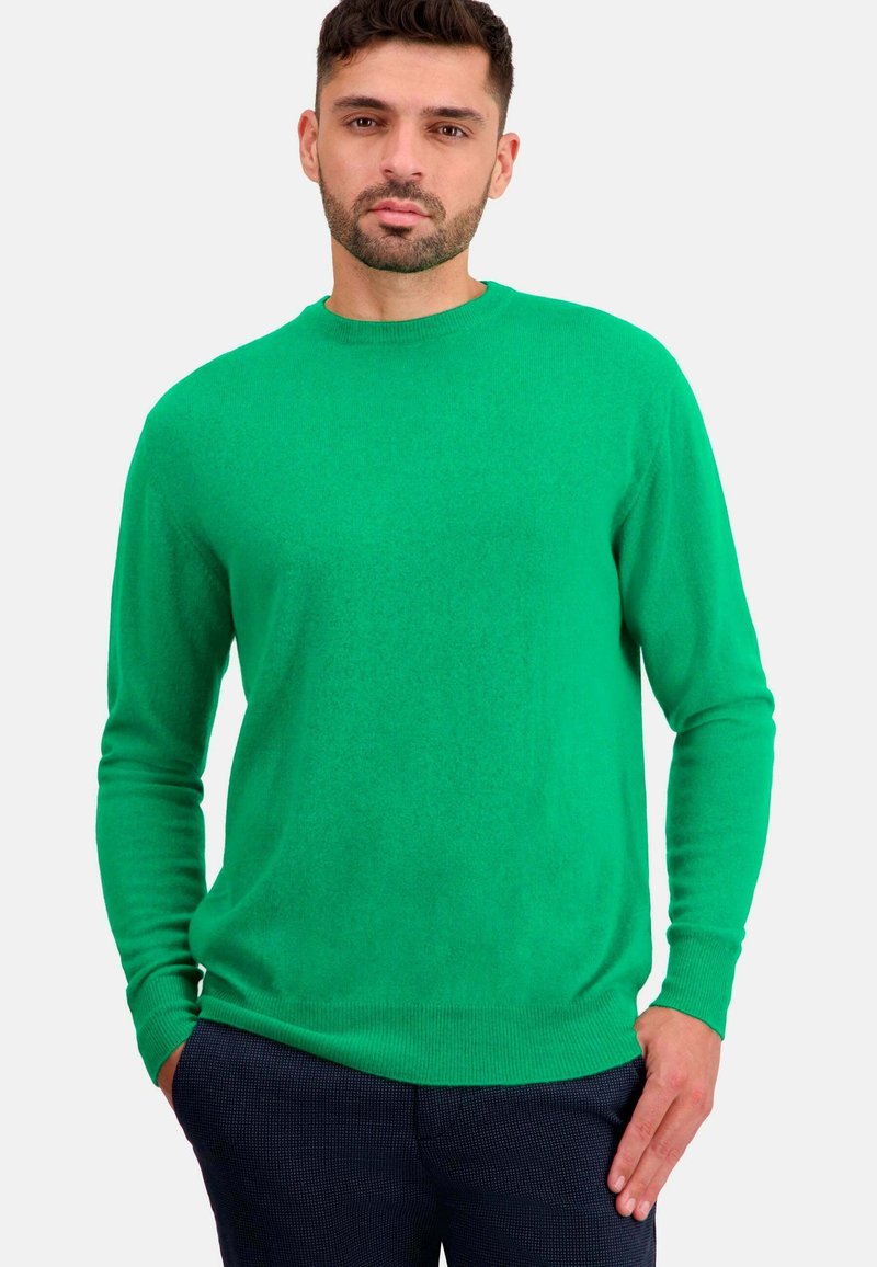 Mahogany NESTOR - Strickpullover - new green
