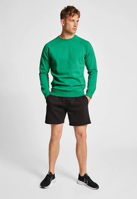 Grön sweatshirt med ribbade muddar och fåll, tillsammans med svarta shorts och svarta sneakers, stående mot en neutral bakgrund.