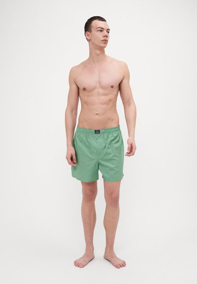 Pantaloncini da bagno verde menta con cintura elastica, design fino al ginocchio, materiale leggero e senza motivi o accenti visibili.