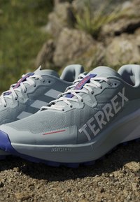 Svijetlosive atletske tenisice s mrežastim gornjištem, istaknutim brendingom "TERREX" i ljubičastim akcentima. Imaju teksturiranu potplatu i crvene detalje.