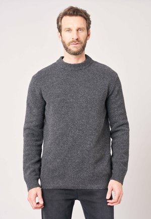 DEELUXE, DEELUXE ORIGINAL PULL OSTILIO - Pullover - holzkohle
