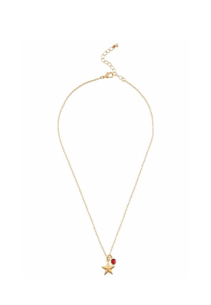 Next BIRTHSTONE - REGULAR FIT - Halskæder - gold tone january