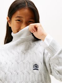Tommy Hilfiger CREST CABLE TURTLE NECK - Pullover - light grey