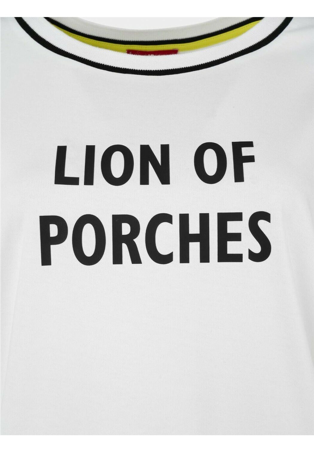 ≫ CAMISETAS Lion of Porches . COMPRA AQUÍ. ENVÍO 24-48 h