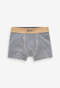 Next 10 PACK STANDARD - Panties - neutral transport print