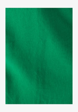 Zelená tkanina s hladkým povrchom a jemným leskom, s jednotnou farbou bez vzorov alebo viditeľných ozdôb.