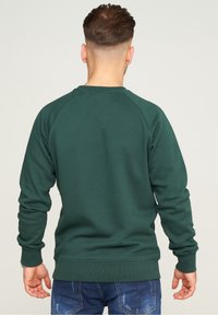 Felpa verde con maniche lunghe raglan e polsini a costine, caratterizzata da un colletto girocollo e una soffice texture tessile. Dettagli di cucitura visibili.