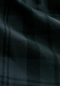 Tumši zaļa pleda audums ar teksturētu pinumu. Tajā ir mainīgas gaišas un tumšas svītras, radot smalku, slāņveida rakstu.