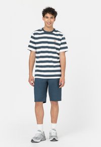 T-shirt in cotone a righe blu navy e bianco, abbinato a pantaloni corti turchesi. Il modello indossa sneakers grigie con accenti bianchi, in piedi su uno sfondo neutro.