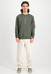 Sudadera verde oliva con cuello redondo y logo frontal; combinada con pantalones cargo beiges que cuentan con bolsillos laterales y zapatos de patrón verde oliva.