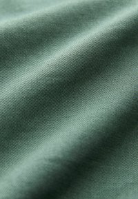 Tissu dans un vert atténué avec une surface lisse, légèrement texturée, présentant un motif de tissage homogène et un subtil éclat.