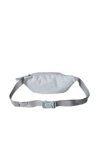 The North Face JESTER LUMBAR UNISEX - Ledvinka - white metallic mela