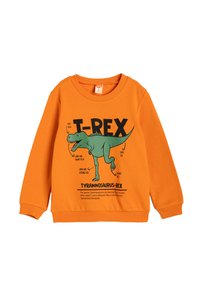 Pomarańczowy sweter z nadrukiem zielonego T-Rexa z oznaczeniem części ciała. Wykonany z bawełny, ma ściągacze na rękawach i okrągły dekolt.