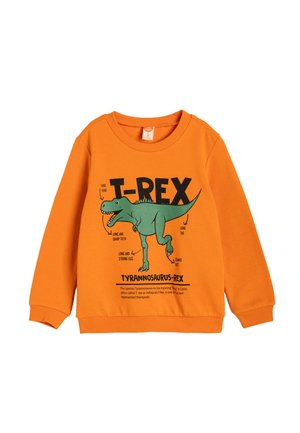 - Bluza