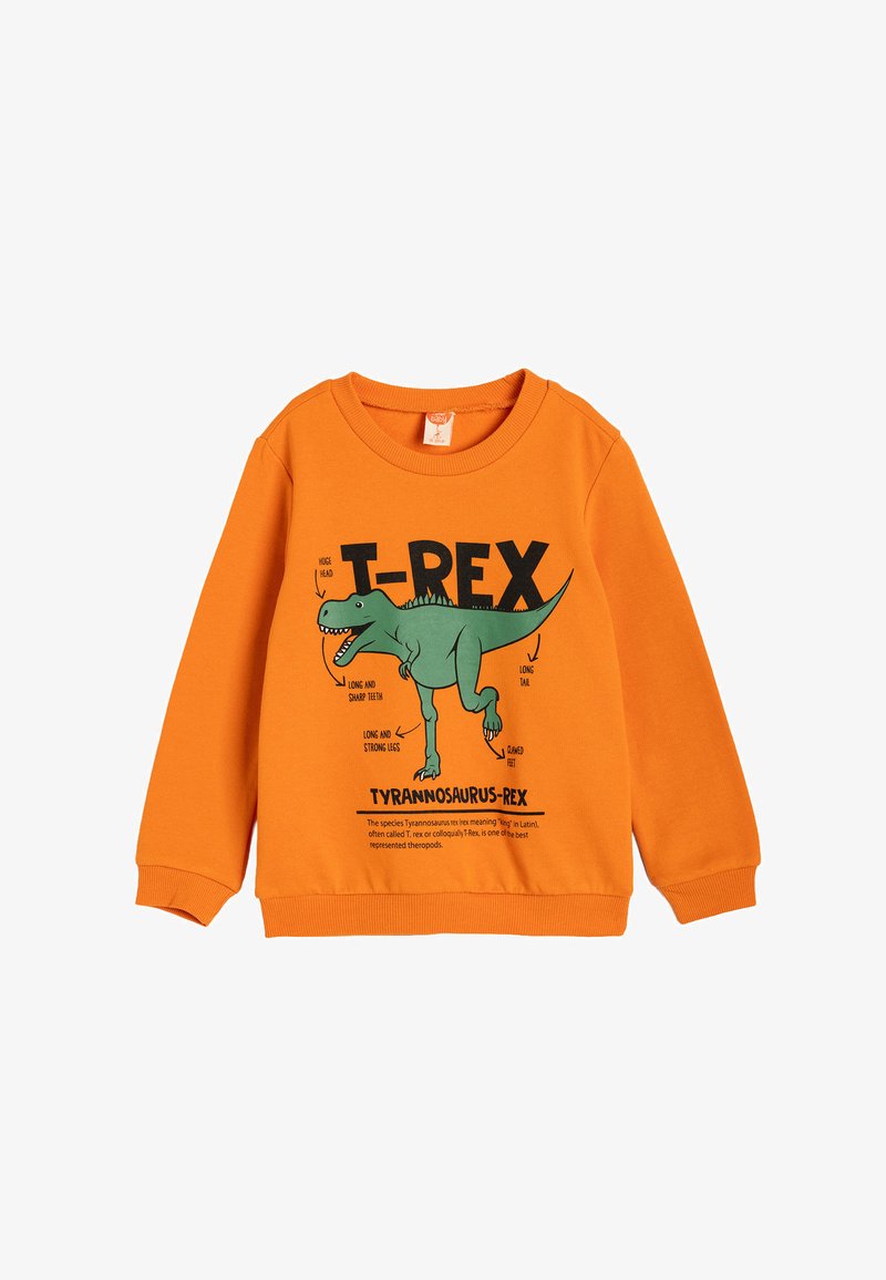 Pomarańczowy sweter z nadrukiem zielonego T-Rexa z oznaczeniem części ciała. Wykonany z bawełny, ma ściągacze na rękawach i okrągły dekolt.