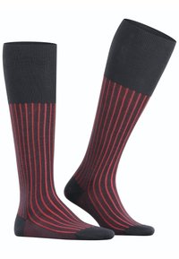 FALKE SHADOW - Kniestrümpfe - dark red