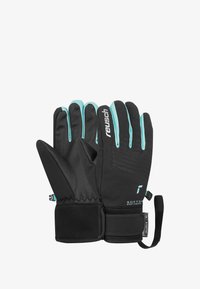 Unausgewählt, black bachelor button