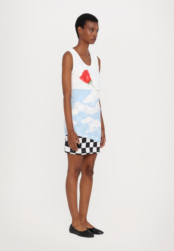 ARCHIVE CLOUDS AND ROSES - Day dress2