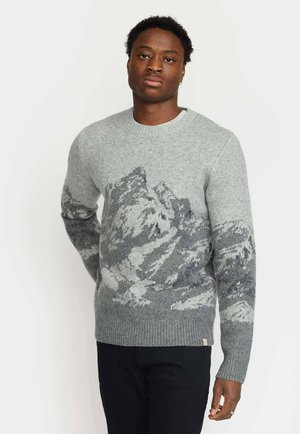Pullover - grey
