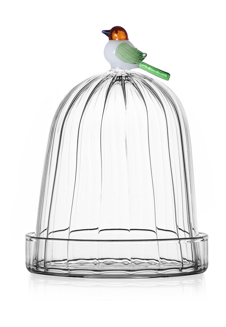 Campana in vetro trasparente con righe verticali, che presenta un colorato uccello stilizzato in cima. La base è circolare e liscia. L'uccello ha una testa arancione e ali verdi.