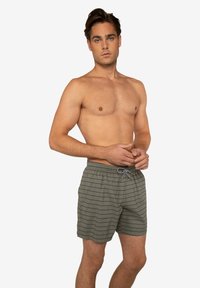 Shorts da bagno a righe verdi e grigie con elastico in vita, dotati di cordoncino e tasche laterali, realizzati in tessuto leggero.