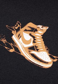 Jordan AIR HAS LANDED - Sweatshirt com capuz - black