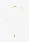 FINE CRYSTAL SHELL COLLAR NECKLACE - Κολιέ - pale gold-coloured