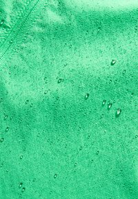 Brooks CANOPY - Spordijope - neo green