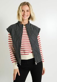 Gilet matelassé gris avec un col montant, sans manches, et une fermeture éclair à l'avant. Porté par-dessus un pull rayé rouge et blanc. Pantalons noirs visibles.