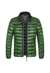 Milestone MSCARTAGENA - Winterjacke - grün