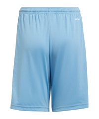 adidas Performance SQUADRA 21 Y - Pantalón corto de deporte - team light blue/white