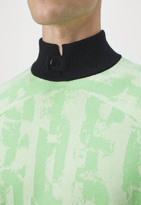 Maglione lavorato a maglia con un corpo verde chiaro testurizzato e motivi astratti, colletto a coste nero, chiuso da un bottone nero.