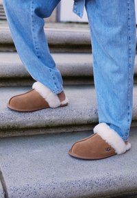 SCUFFETTE II - Hjemmesko - chestnut