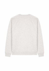 Felpa grigia chiara con maniche raglan lunghe, polsini e orlo a costina, texture liscia e design minimalista. Nessun logo o motivo visibile.