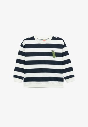 Marineblauwe en witte gestreepte sweatshirt van zacht materiaal, met een groene dinosaurusafbeelding en de tekst "ROARR!" op de borst, voorzien van ribgebreide manchetten.