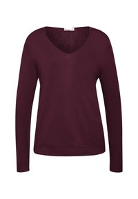Maglione a maniche lunghe bordeaux con scollo a V, realizzato in morbido tessuto a maglia, con polsini e orlo a coste per un tocco di texture e dettaglio in più.