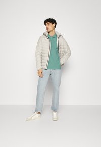 TOM TAILOR BASIC  - Polo - salvia